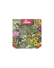 Fleurs en mélange pour abeilles