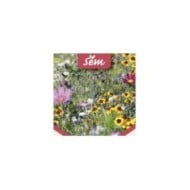Fleurs en mélange pour abeilles