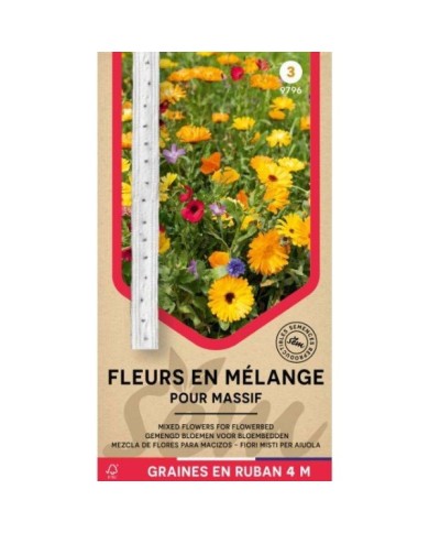 Mélange de fleurs pour massif en ruban