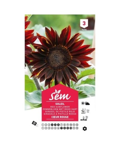 Soleil / Tournesol à coeur rouge (sachet)