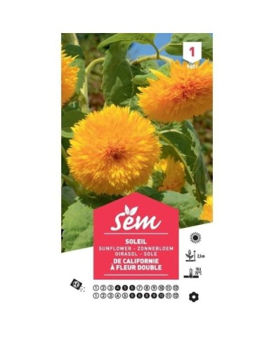Soleil / Tournesol géant de Californie à fleurs doubles (sachet)
