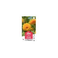 Soleil / Tournesol géant de Californie à fleurs doubles (sachet)