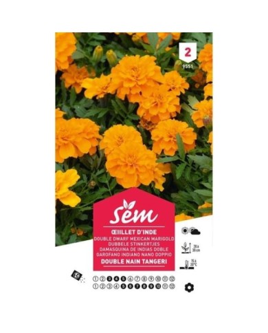 Oeillet d'Inde double nain Tangeri (sachet)