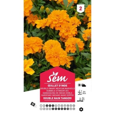 Oeillet d'Inde double nain Tangeri (sachet)