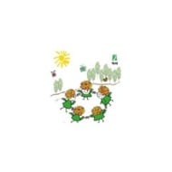 Oeillet d'Inde double nain gamme kids