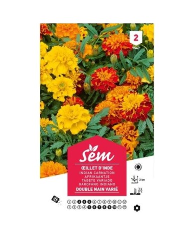Oeillet d'Inde double nain varié (sachet)