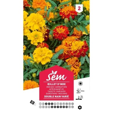 Oeillet d'Inde double nain varié (sachet)