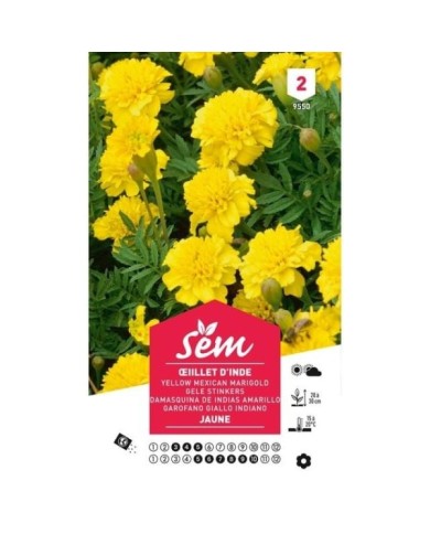 Oeillet d'Inde jaune (sachet)