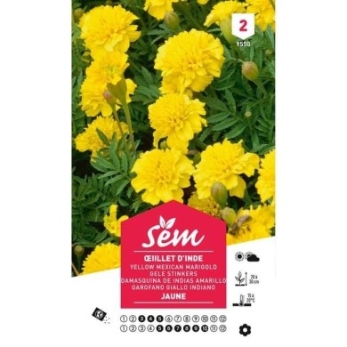 Oeillet d'Inde jaune (sachet)