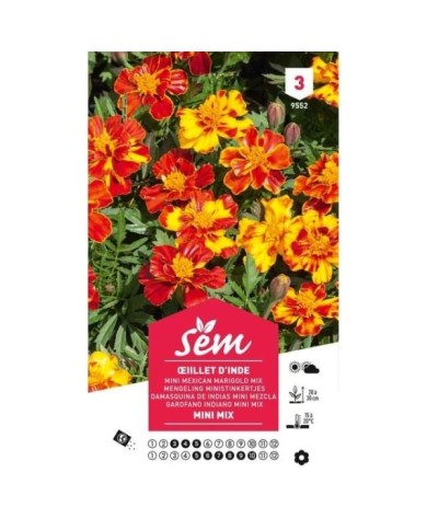 Oeillet d'Inde mini mix (sachet)