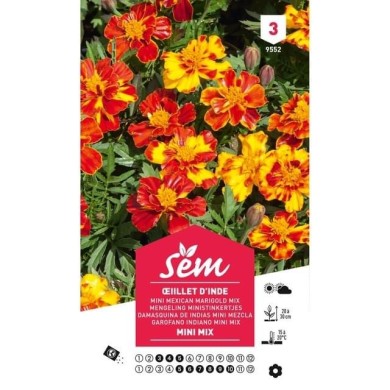 Oeillet d'Inde mini mix (sachet)