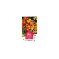 Oeillet d'Inde mini mix (sachet)