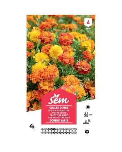Oeillet d'Inde double nain XXL (sachet)