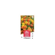 Oeillet d'Inde double nain XXL (sachet)