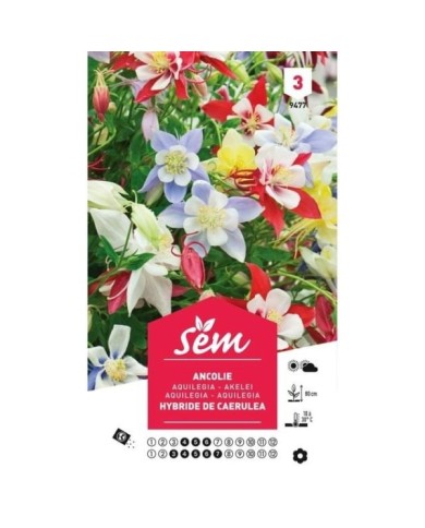 Ancolie hybride de Caerulea (sachet)