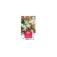Ancolie hybride de Caerulea (sachet)