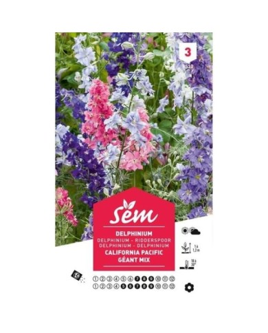 Delphinium de Californie Pacific Géant varié (sachet)