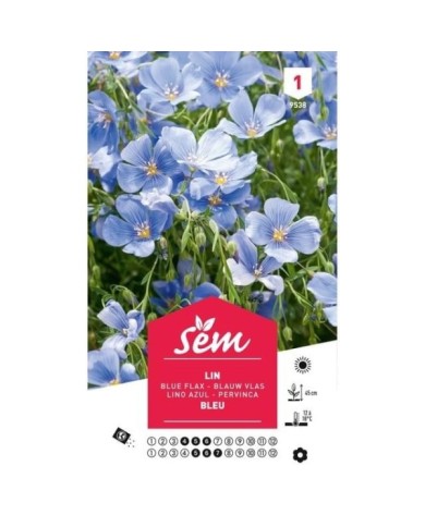 Lin vivace bleu (linum) (sachet)