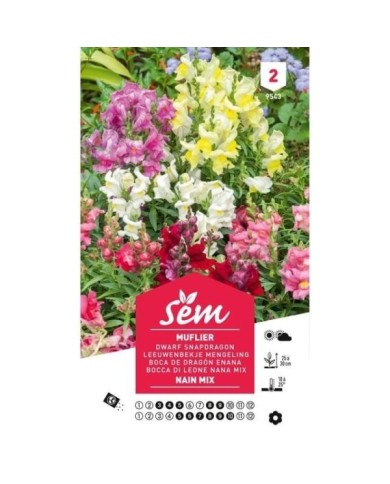 Muflier nain varié (sachet)