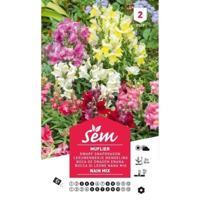 Muflier nain varié (sachet)