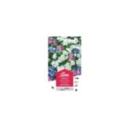 Myosotis des Alpes varié (sachet)