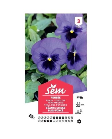 Pensée géante de Suisse bleue foncé (sachet)