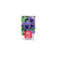Pensée géante de Suisse bleue foncé (sachet)