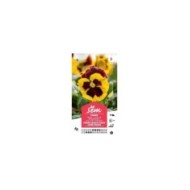 Pensée géante de Suisse jaune et rouge (sachet)
