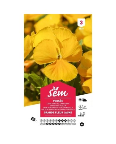 Pensée à grande fleur jaune pur (sachet)