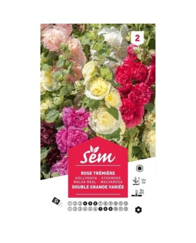 Rose trémière double variée  . (sachet)