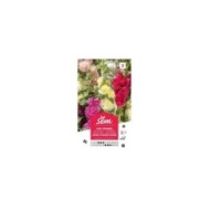 Rose trémière double variée  . (sachet)