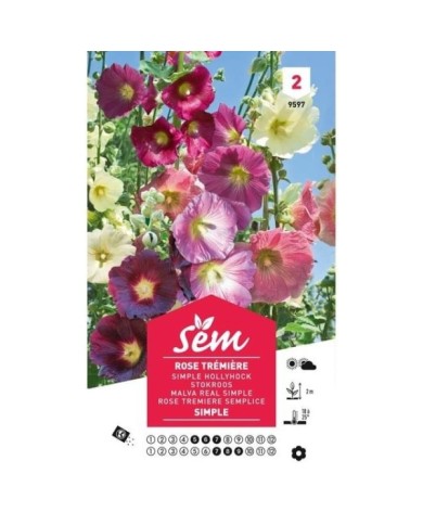 Rose trémière simple (sachet)