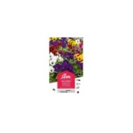 Viola cornuta (sachet)