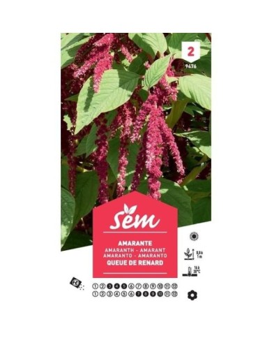 Amarante Queue de Renard (sachet)