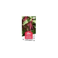 Amarante Queue de Renard (sachet)