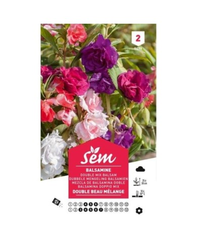 Balsamine double beau mélange (sachet)