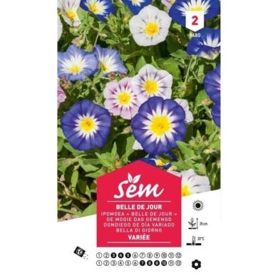 Belle de jour variées (sachet)