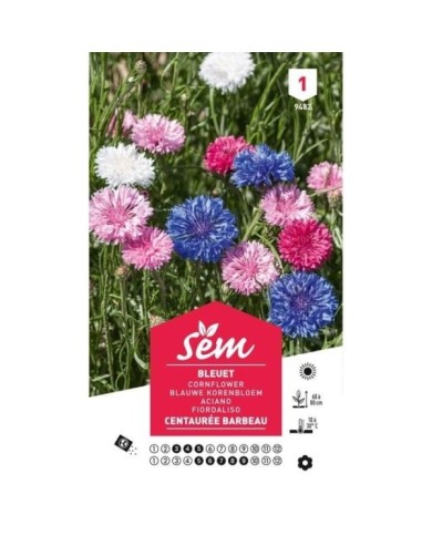 Bleuet (Centaurée Barbeau) (sachet)