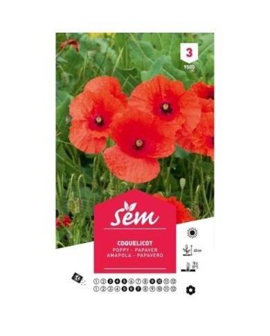 Coquelicot (sachet)