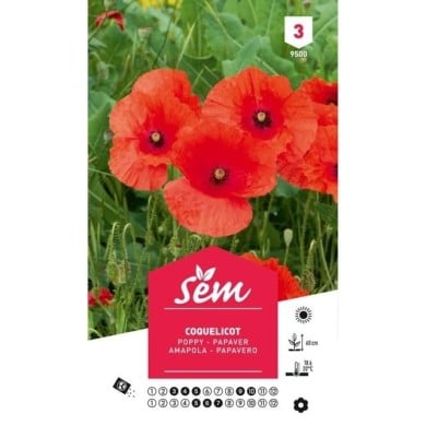Coquelicot (sachet)