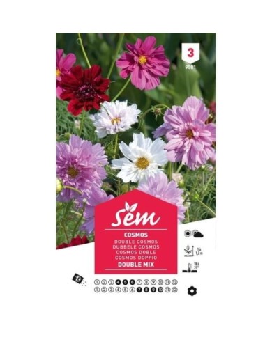 Cosmos double en mélange (sachet)