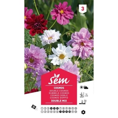 Cosmos double en mélange (sachet)