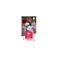 Cosmos double en mélange (sachet)