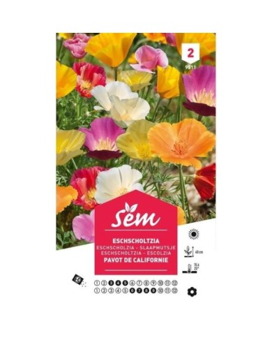 Eschscholtzia de Californie varié (sachet)