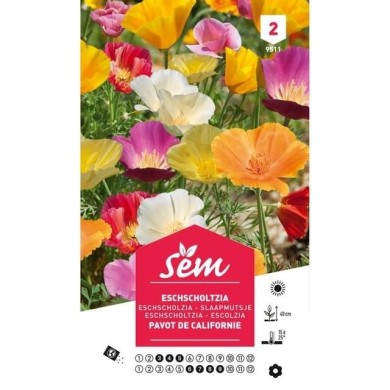 Eschscholtzia de Californie varié (sachet)