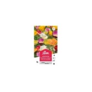 Eschscholtzia de Californie varié (sachet)