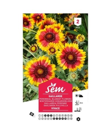 Gaillarde vivace (sachet)