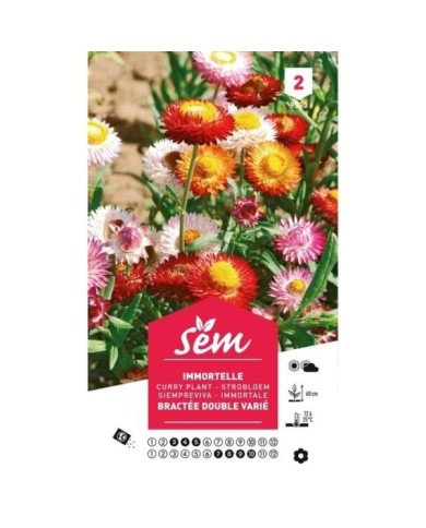 Immortelle à bractées doubles variées (sachet)