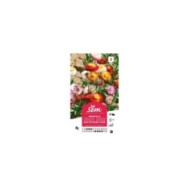 Immortelle à bractées doubles variées (sachet)