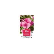 Lavatère Brillant carmin (sachet)